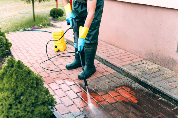 Best Affordable Pressure Washing  in Llano Grande, TX