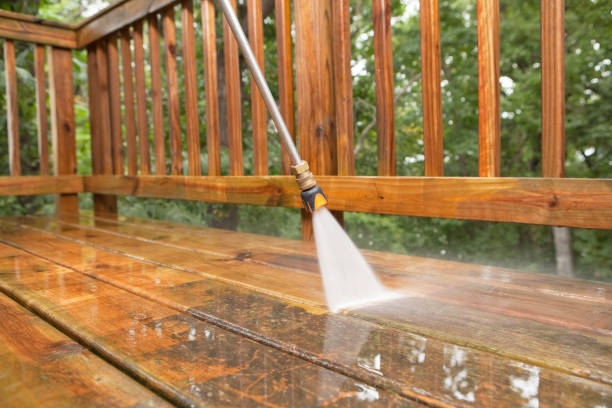 Best Roof Pressure Washing  in Llano Grande, TX