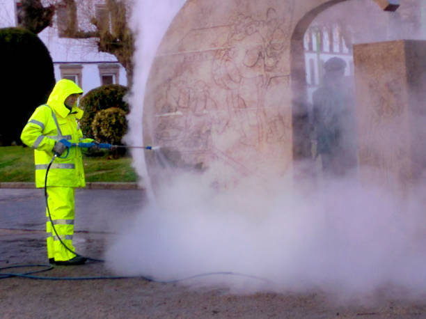 Best Pressure Washing Services Near Me  in Llano Grande, TX