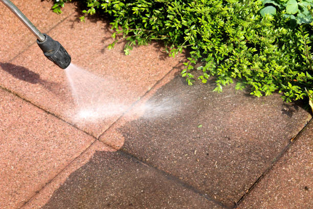 Local Pressure Washing Services in Llano Grande, TX